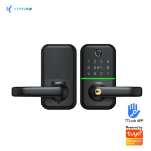 Zamek H17 TTLock Tuya Bluetooth Wi-Fi