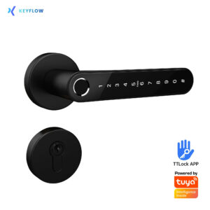 Inteligentna klamka Keyflow N33